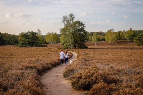 Geheimtipps in NRW: 10 ruhige Orte in der Natur