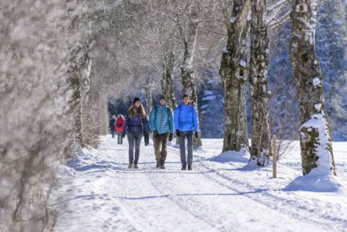 Winterwandern in Deutschland: 10 traumhafte Strecken