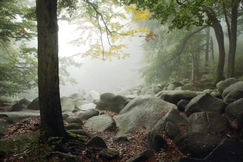 Mystische Orte in Süddeutschland: Burgen, Wälder, Seen als Ausflugsziele