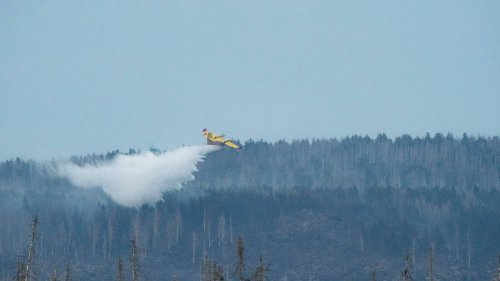 Waldbrand am Brocken im Harz: Alle Infos für den Ausflug auf einen Blick