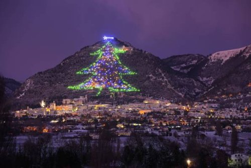 Rekord! In Italien steht der größte Weihnachtsbaum der Welt