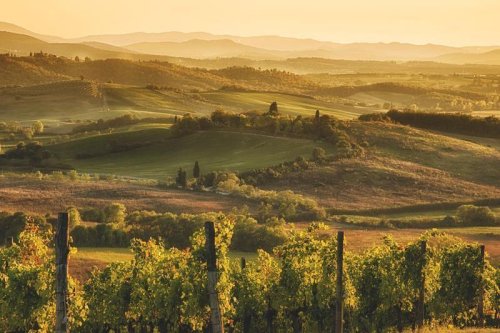 Spartipp: 5 Tage Toskana im Cignella Wine Resort ab 199 Euro!