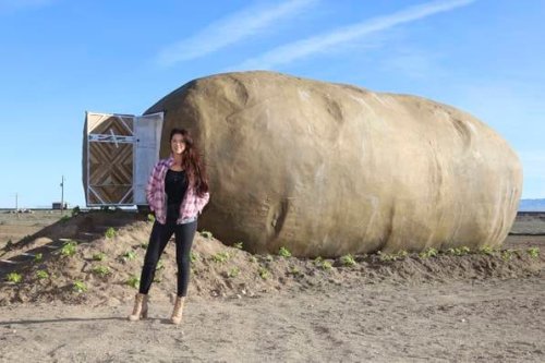Potato Hotel: Im US-Bundesstaat Idaho kannst du in einer Kartoffel schlafen