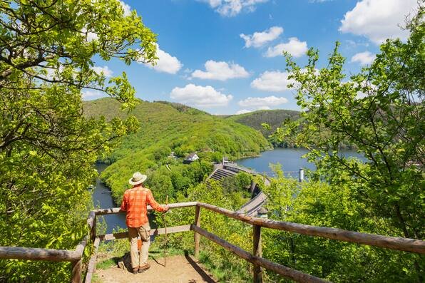 Deutsche Nationalparks: Perfekte Orte für Ausflüge und Wanderungen