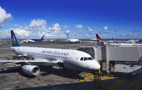 Air New Zealand will Passagiere wiegen lassen