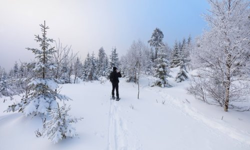 Winterwandern im Harz: Die schönsten Strecken im Schnee