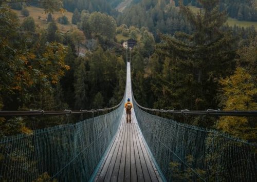 Im Harz soll eine neue spektakuläre Hängebrücke gebaut werden