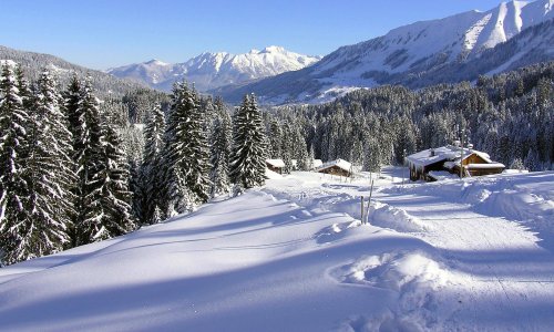 Winterwanderung im Schnee: 8 malerische Wege