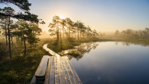 Estland-Urlaub: Entdeckungen zwischen Moor und Meer