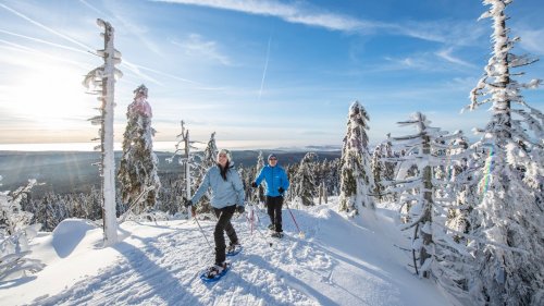 Für Naturliebhaber - Die besten Schneeschuhtouren in Bayern!