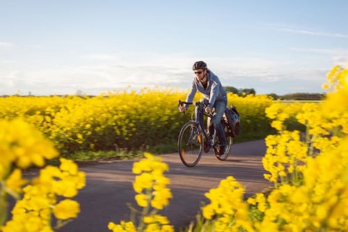 Die 10 beliebtesten Radfernwege in Deutschland laut ADFC-Ranking