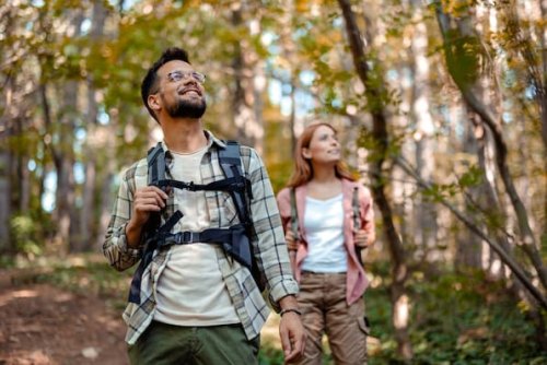 Nationalparks in Deutschland: Das sind die schönsten Wanderwege