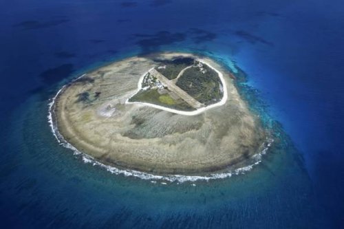 Lady Elliot Island: Was du auf der australischen Koralleninsel erleben kannst
