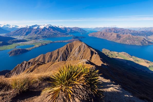„Goldenes Visum“: Neuseeland verzeichnet Ansturm von Investoren