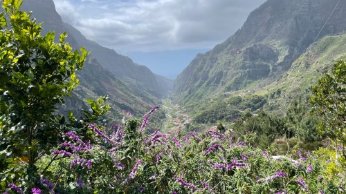 Grün, grüner, Madeira: Das portugiesische Paradies