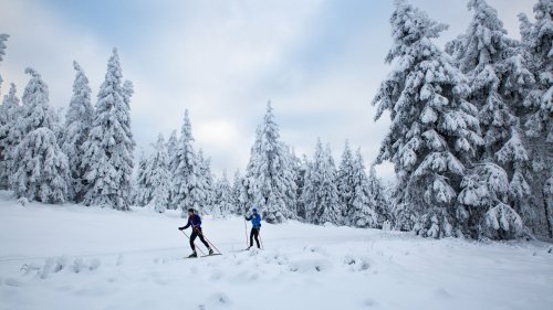 Die besten Langlauf-Loipen im Thüringer Wald