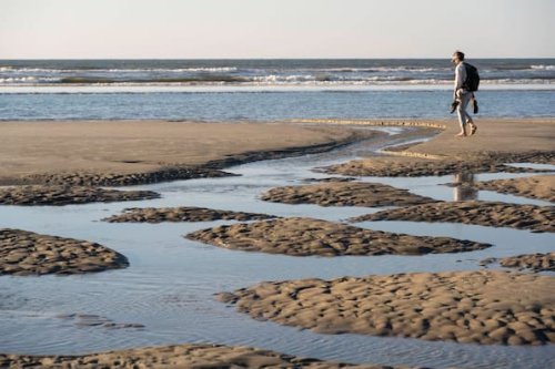 Nordsee-Inseln: Gelbe Klumpen angespült – nicht anfassen!