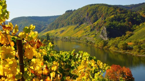 Die schönsten Reiseziele in Deutschland im Herbst