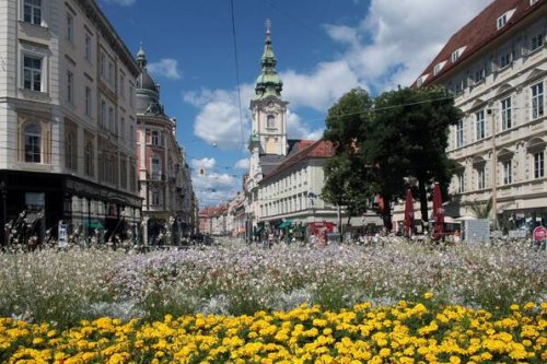 Historisch und sehenswert: Die 11 schönsten Altstädte Österreichs
