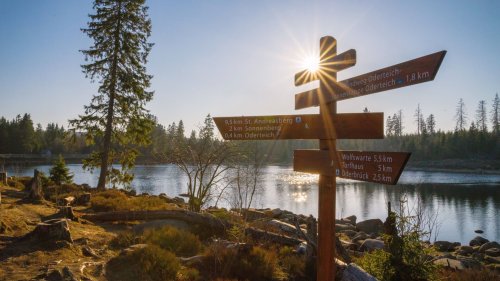 9 kühle Badeseen im Harz für deinen Urlaub in der Natur