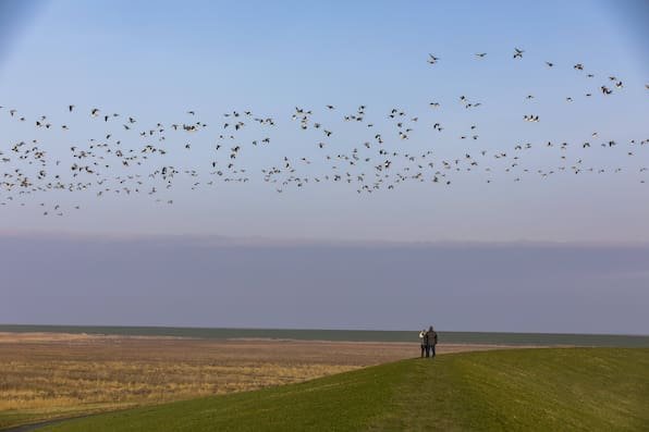 Strand ohne Meer: Was Upleward an der Nordsee so besonders macht