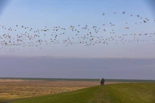 Strand ohne Meer: Was Upleward an der Nordsee so besonders macht