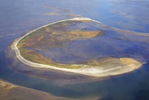 Insel Trischen: Die schnellste Insel der Welt wandert