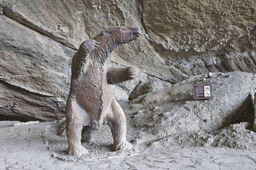 In Brasilien haben Riesenfaultiere Höhlen gegraben