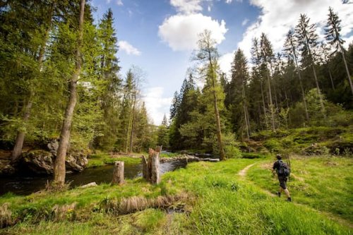 Deutschlands schönste Wanderwege 2025: Die Nominierten im Überblick