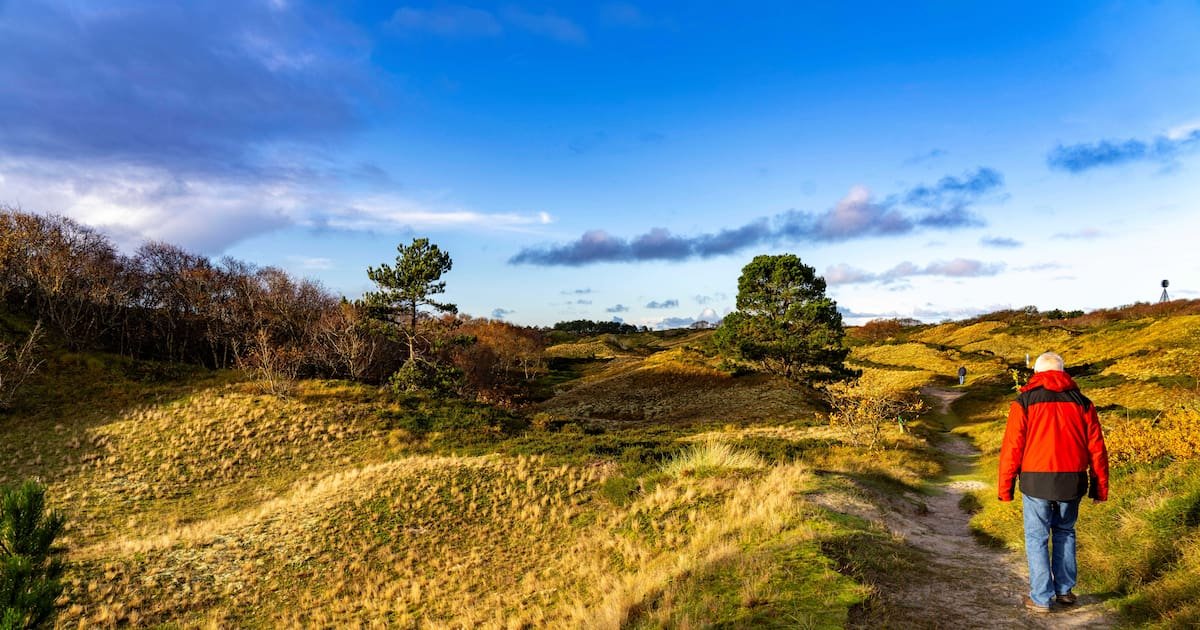 Frühling in Niedersachsen: 6 Tipps für deinen Wochenendtrip