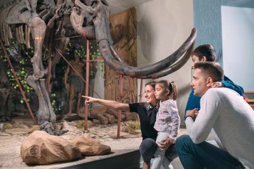 Beste Ausflugsziele in Deutschland: Museumsabenteuer für Kinder