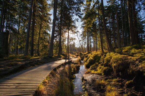 Urlaub im Harz und Umgebung cover image