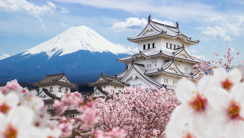 Japanische Kirschblüte: Alle Infos zu dem Naturspektakel