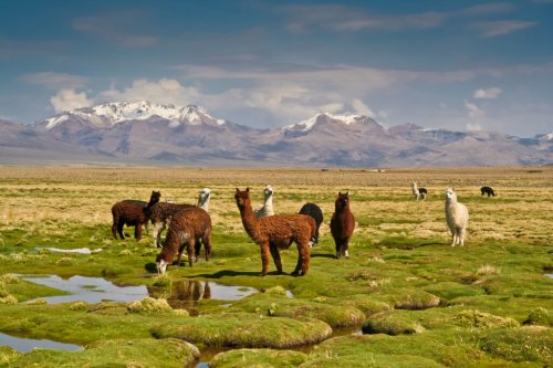 Andenland Bolivien - abenteuerlustige Fernreise planen