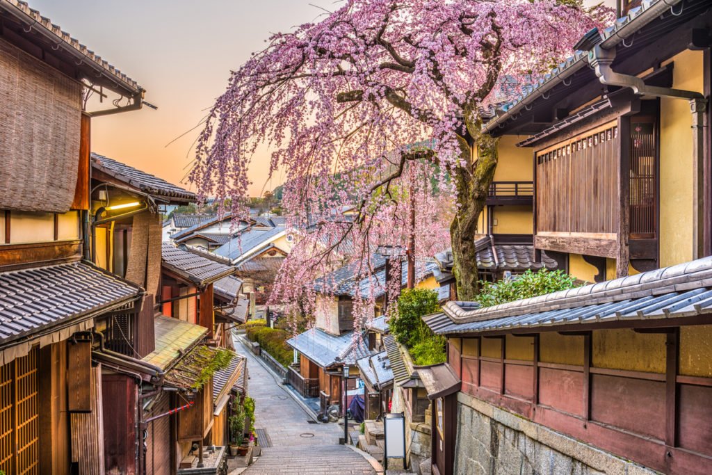 Japanische Kirschblüte - Einzigartiges Naturphänomen 