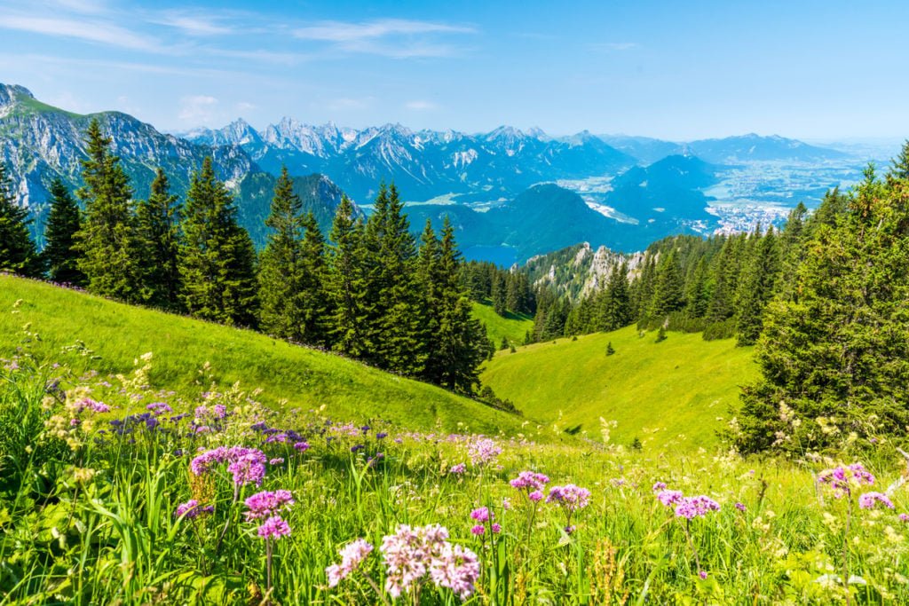 Sommerferien in Deutschland verbringen