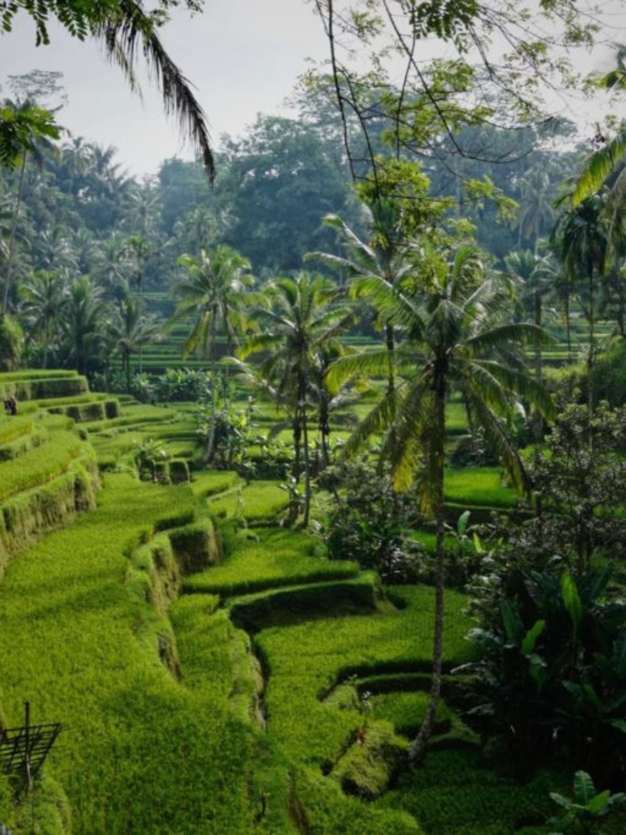 Was kostet ein Tag auf Bali?