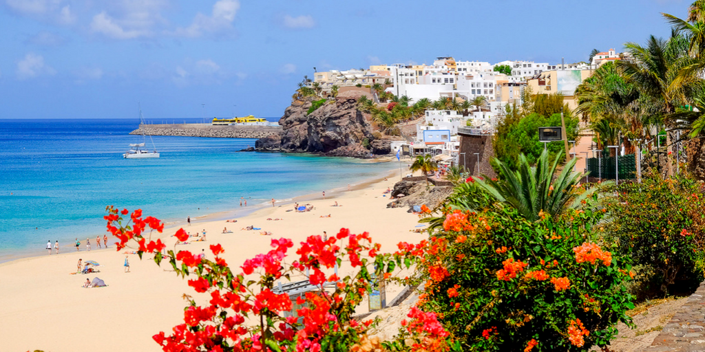 Surfen, Segeln, Tauchen - Findet euren Wassersport auf Fuerteventura!