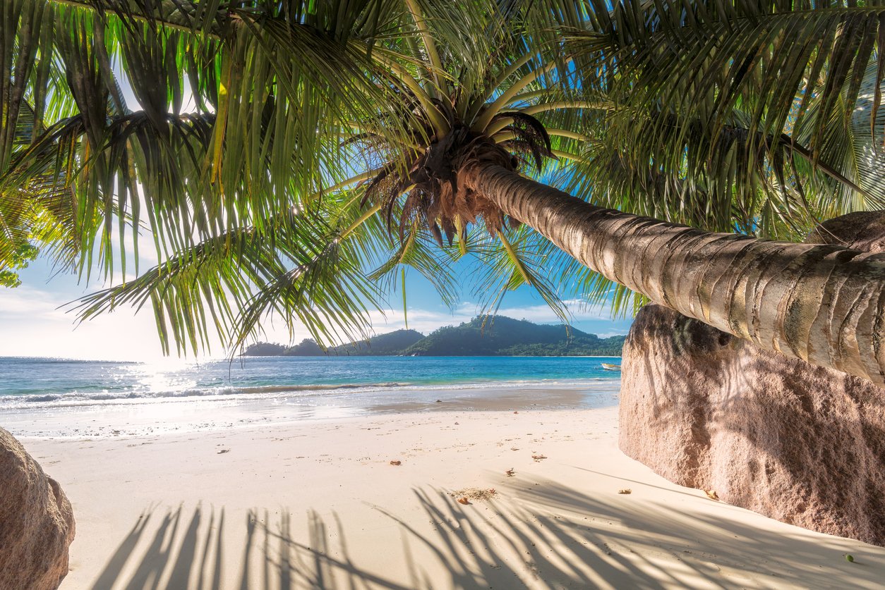 Urlaub in der Karibik: Eure Traumreise ins Paradies!