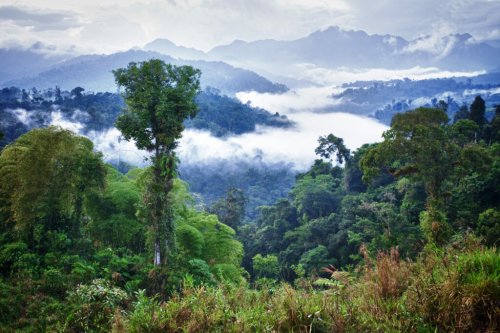 Ecuador - pure Vielfalt an der Westküste Südamerikas