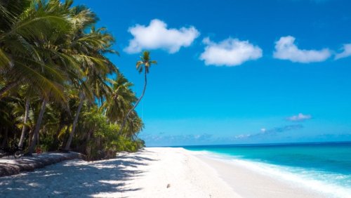 Traumurlaub Malediven - Urlaub planen
