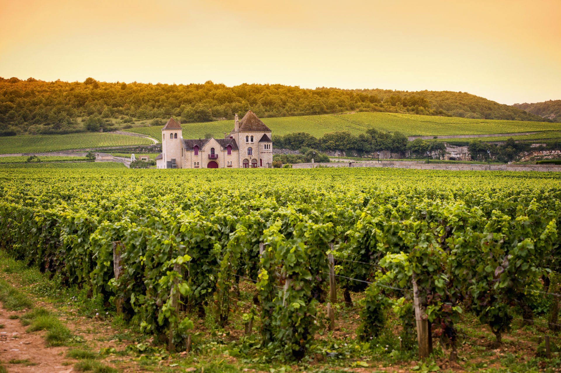 Burgund Tipps - Weinregion und mittelalterliche Atmosphären in Frankreich