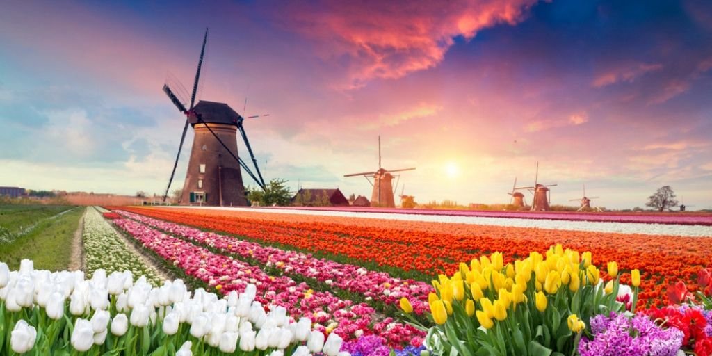 Die besten Bungalows in Holland - 10 tolle Ferienhäuser für den Urlaub