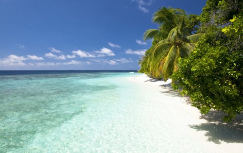 Traumurlaub Malediven - was muss man wissen?