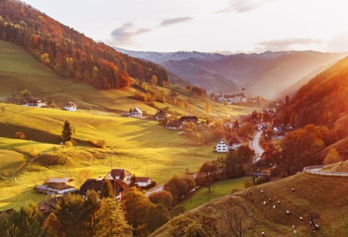 Reiseziel Schwarzwald - welche Gegend erkunden?