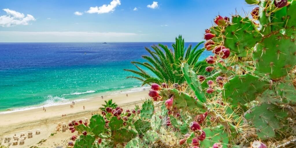 Fuerteventura Sehenswürdigkeiten - Top 11 Attraktionen für Touristen