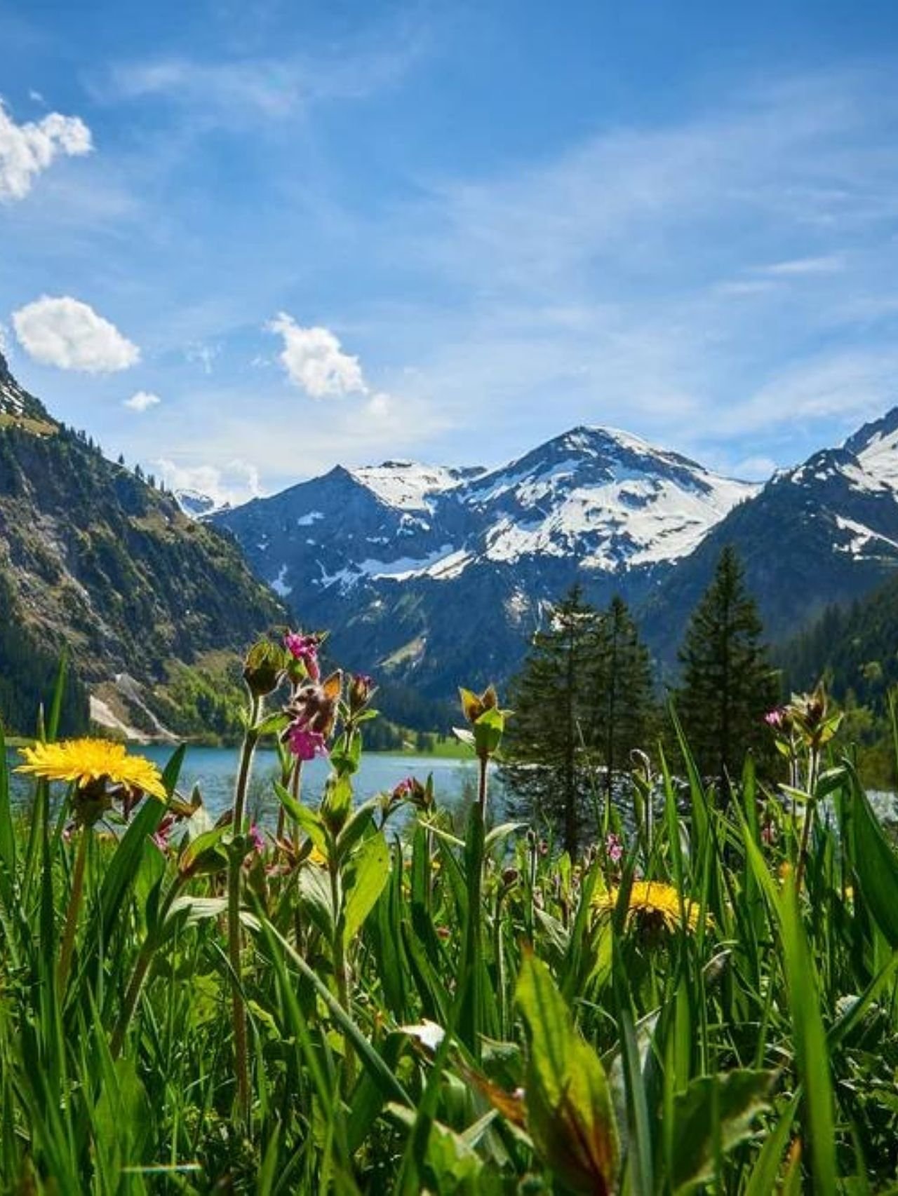 Top 10 Ferienwohnungen in Tirol