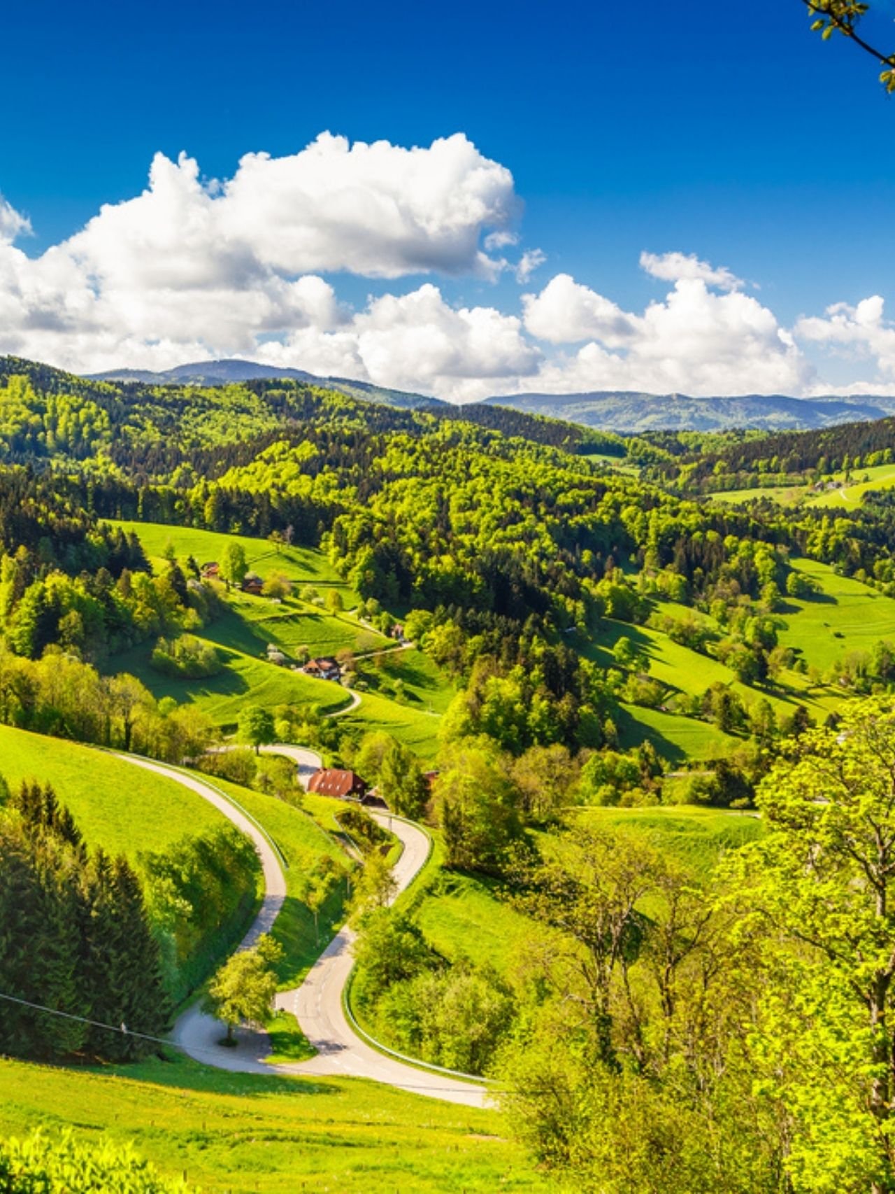 Top 10 Ferienhäuser im Schwarzwald