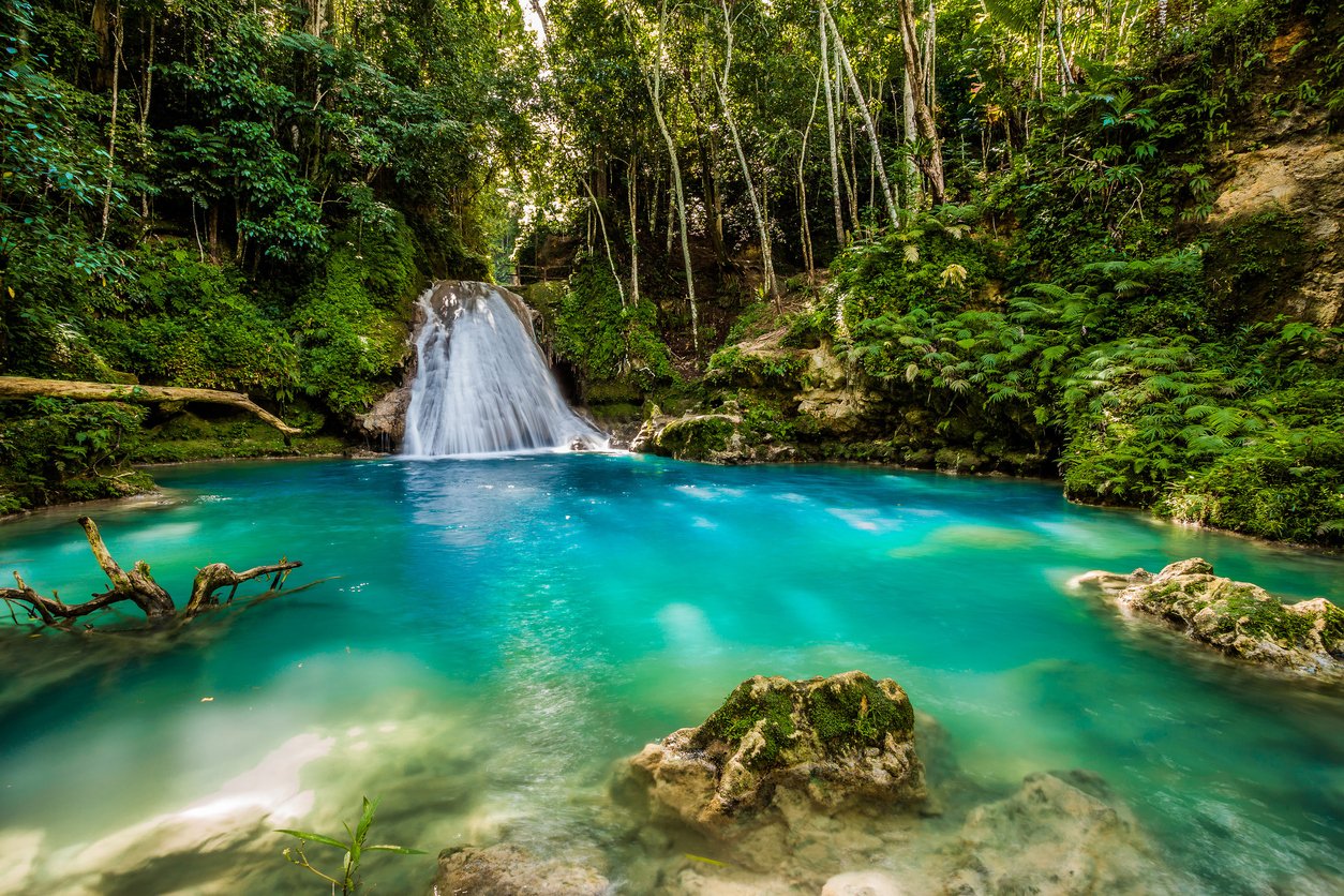 Urlaub auf Jamaika: Reise ins grüne Paradies der Karibik