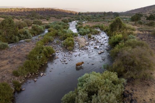 Mideast's Jordan River: Rich in holiness, poor in water